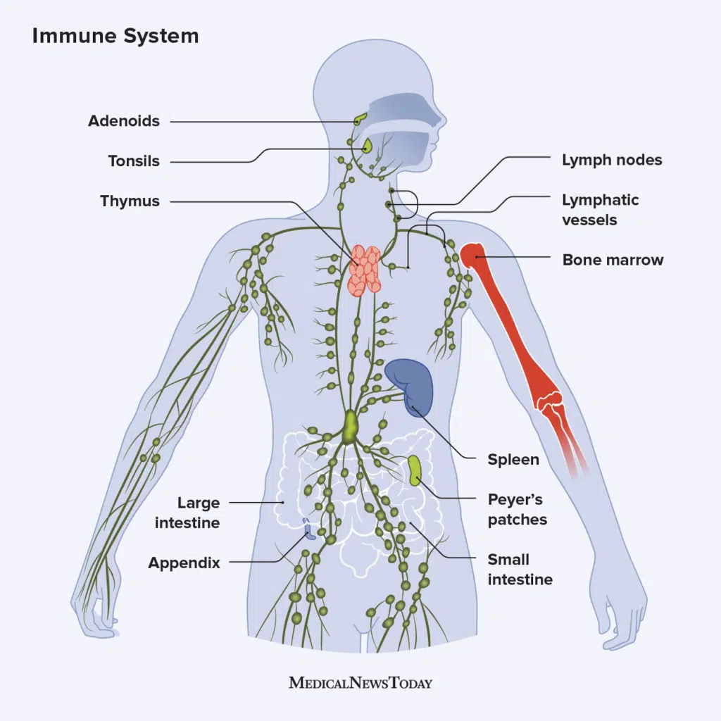 Understanding Neuropathic Pain: Causes, Symptoms, and Treatment Options