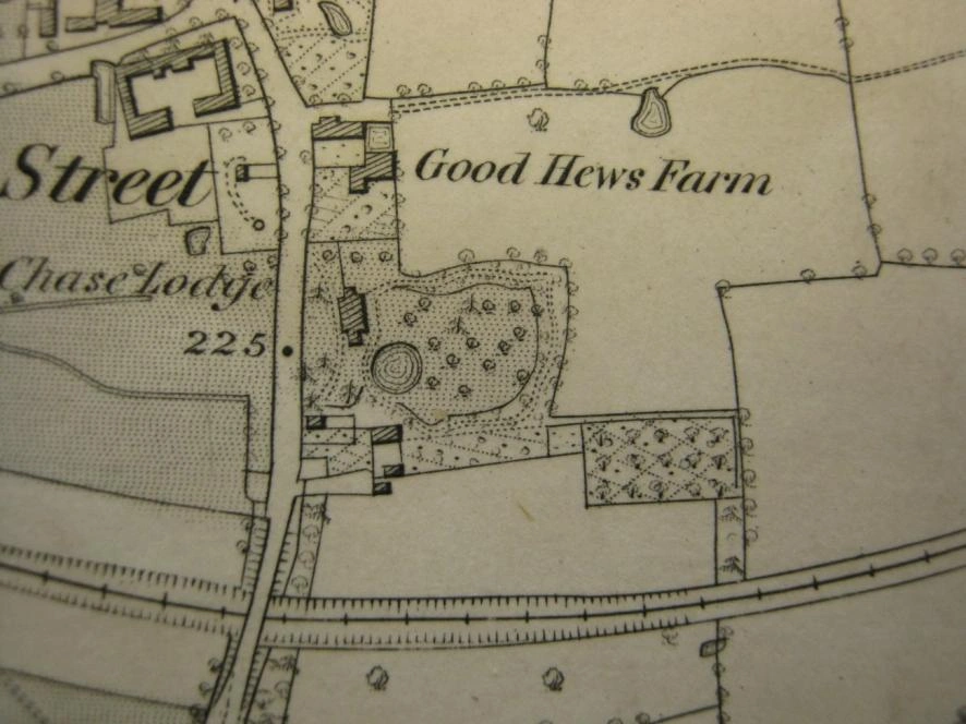 1873 Ordnance Survey map showing the grounds and garden layout